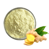 Wholesale Food Grade Ginger Root Extract Nutritional Supplement Ingredient Gingerol