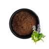 Turkesterone Powder Best Price Supplement Pure Ajuga Turkestanica Extract Powder 10% 40% Turkesterone