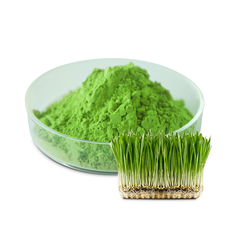 Factory Supply Hordeum Vulgare Extract Barley Grass Powder