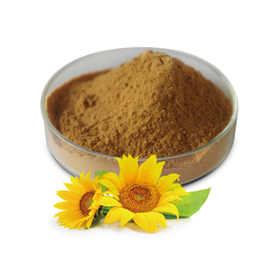 Sunflower Lecithin High Quality Organic Sunflower Lecithin Sunflower Lecithin Powder