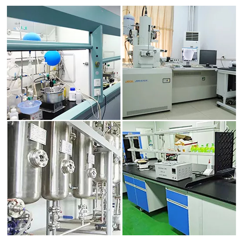 Zingerone CAS 122-48-5 Food Additive Factory Price With Best Price