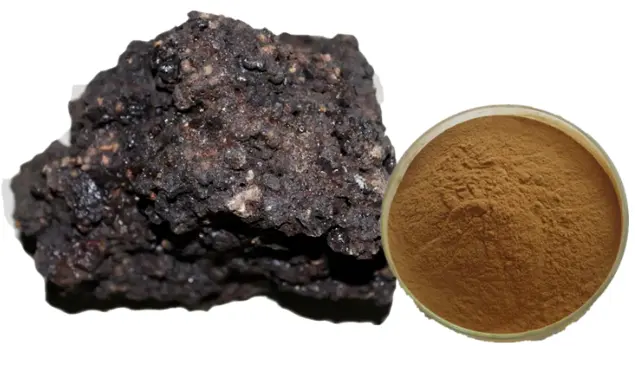 Fulvic Acid 50% CAS 479-66-3 Shilajit Extract Powder