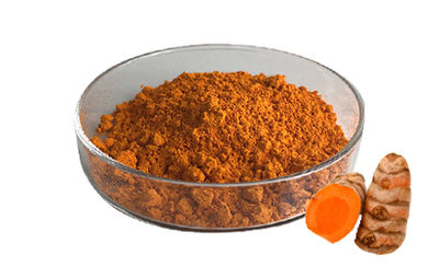 Natural Curcumin 95% Turmeric Extract Powder For Healthcare Supplement