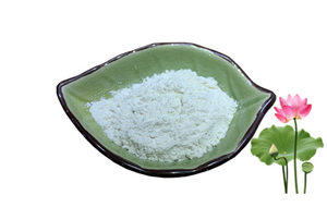 Lotus Leaf Extract For Slimming Water Soluble Nuciferine 