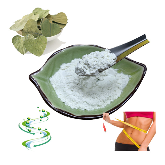 Lotus Extract Natural Raw Material 10% 50% 98% Nuciferine For Slimming