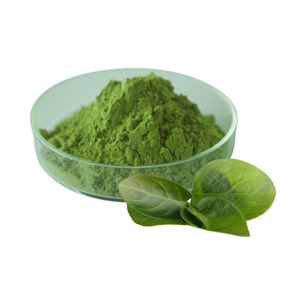 High Quality Organic Matcha Green Tea Matcha Powder